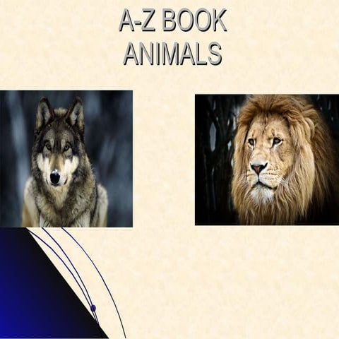 Animal ABC book