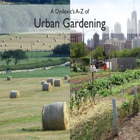A Dyslexic's A-Z of Urban Gardening