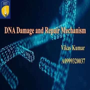 DNA Damage and repair mechanism