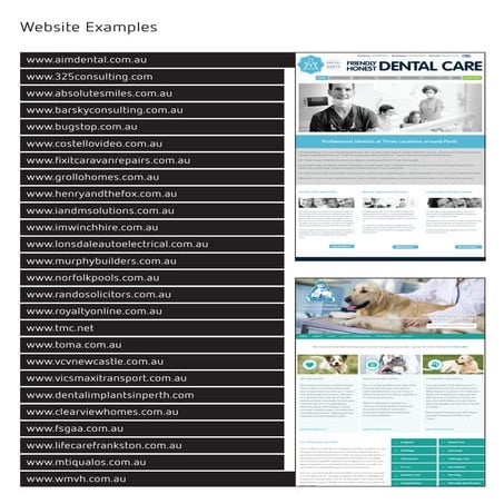 Website Examples - 2016