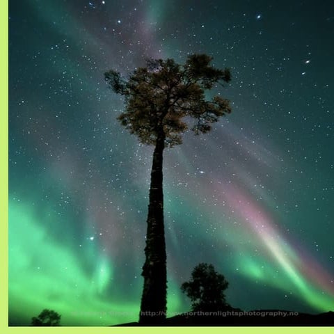 Presentationverybest1