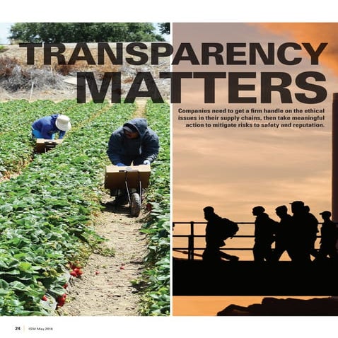 Transparency Matters Pdf