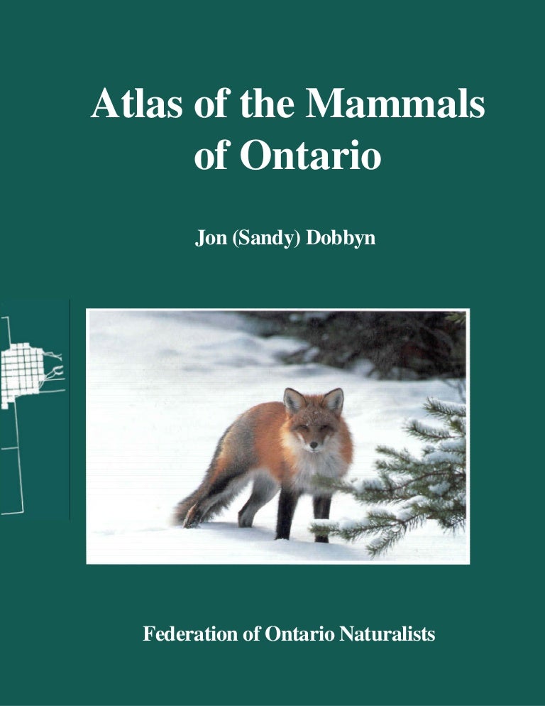 Mammals of Ontario