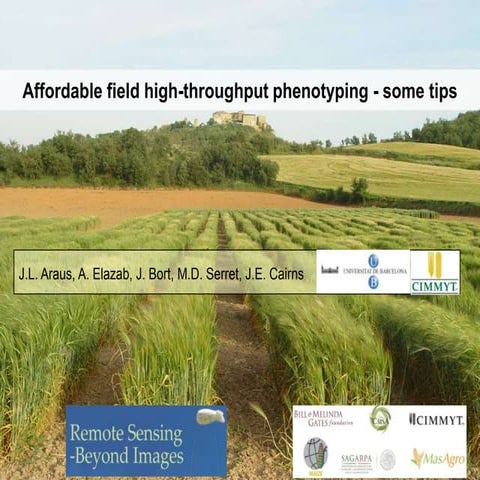 Affordable field high-throughput phenotyping - some tips