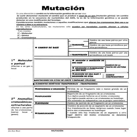 A10 mutacion