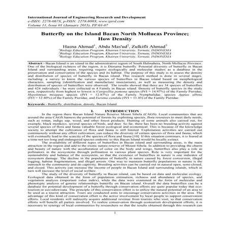 Butterfly on the Island Bacan North Mollucas Province; How Density