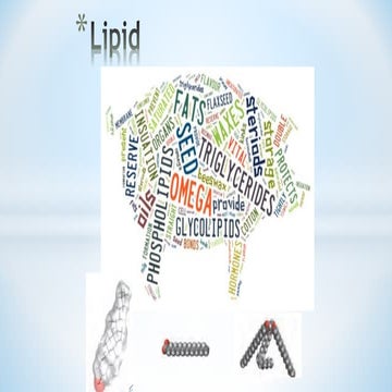 A1409845388_23691_20_2019_lecture 7-12 Lipids.pdf