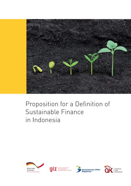 Proposition for a Definition of Sustainable Finance in Indonesia GIZ PRIME 12 2014