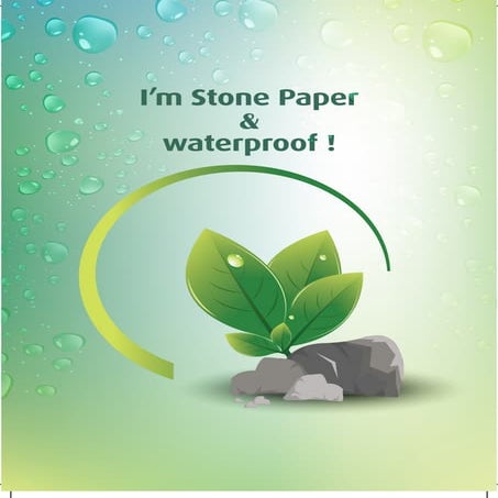 Stone Paper | PDF