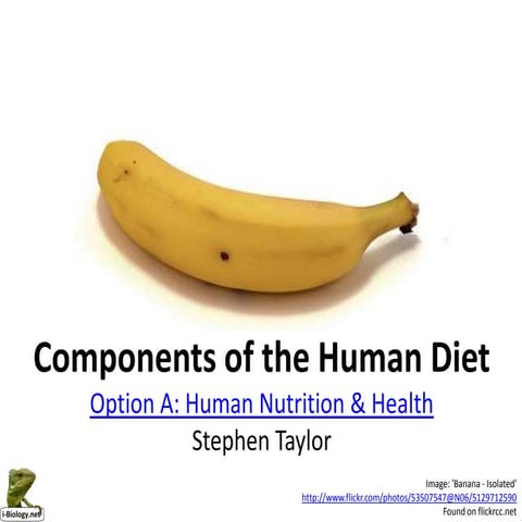 Components of the Human Diet