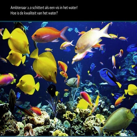 Een vis vraagt zich toch ook niet af wat de kwaliteit van het water is?