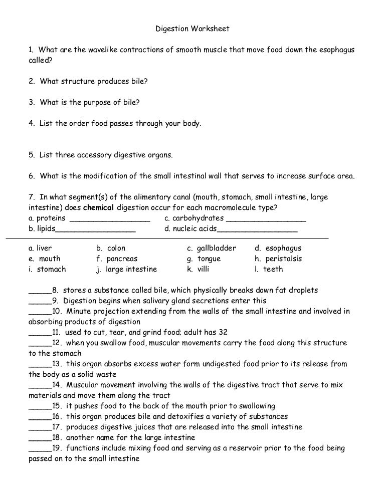 Digestion Worksheet - Review