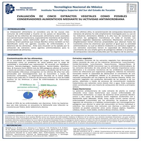 A3.2 cartel poot francisco