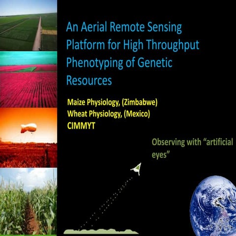 An Aerial Remote Sensing Platform for High Throughput Phenotyping of Genetic ...