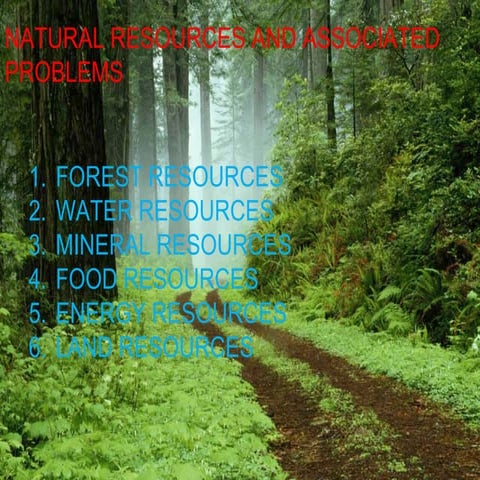 Forest Resources