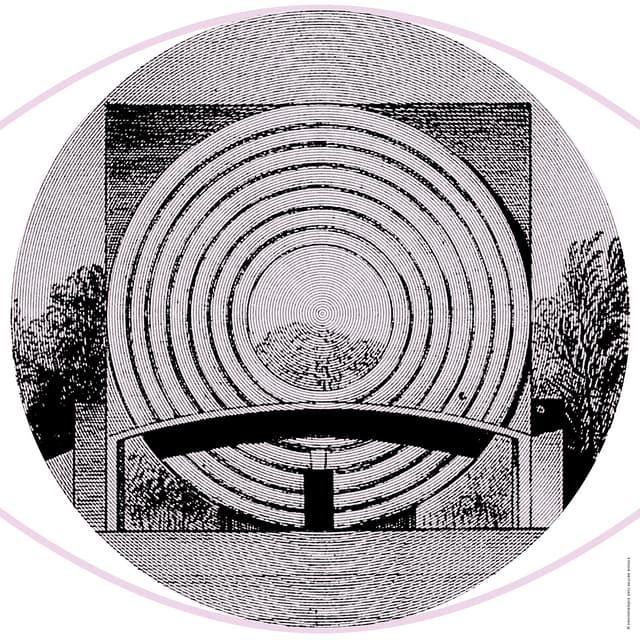 Dorota Jędruch, Oko języka