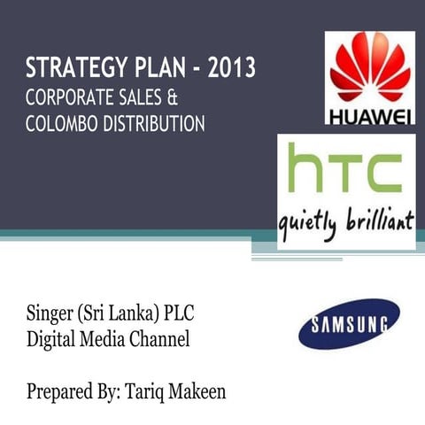 STRATEGY PLAN - 2013