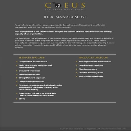 Corporate Insurance Management | PDF