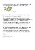 Lettera Di Referenze Di Professore Universitario