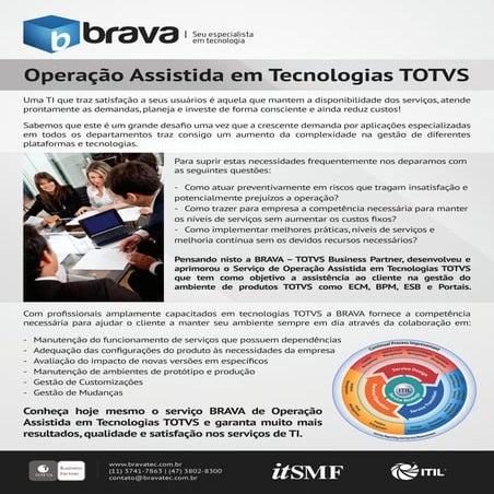 BRAVA KIT Cadastro Itens DATASUL EMS | PPTX