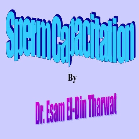 Sperm Capacitation2