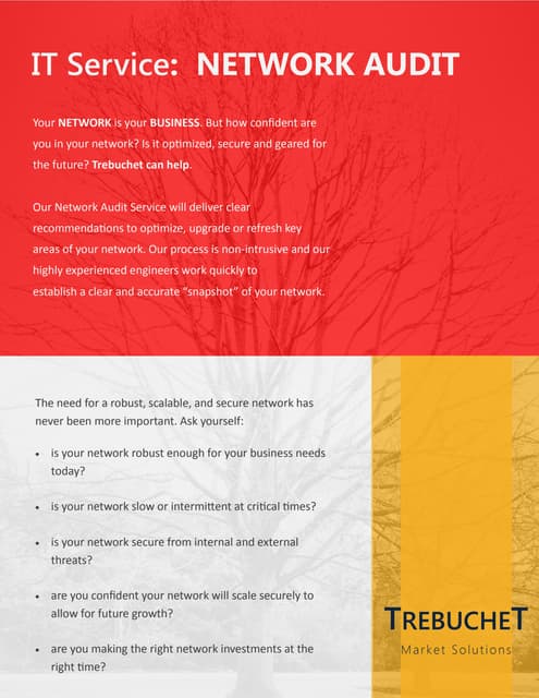 Network Audit