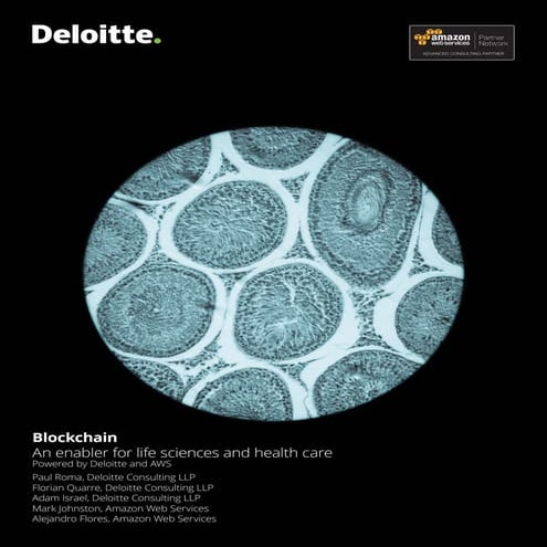AWS&Deloitte Blockchain