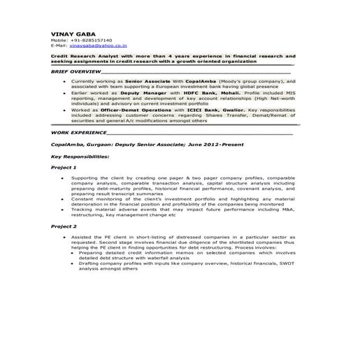 CV- Vinay Gaba | DOCX