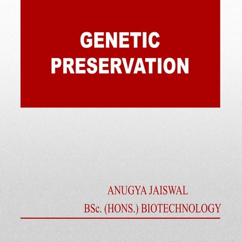 Genetic Preservation of Plant Culture