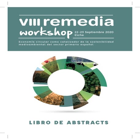 Libro de resúmenes VIII Workshop Remedia