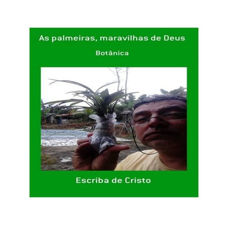 AS PALMEIRAS, MARAVILHAS DE DEUS