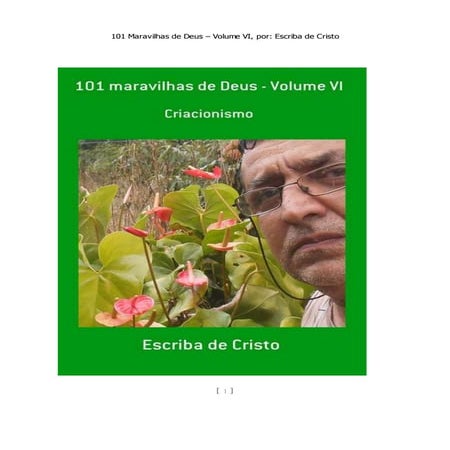 101 MARAVILHAS DE DEUS - VOLUME VI