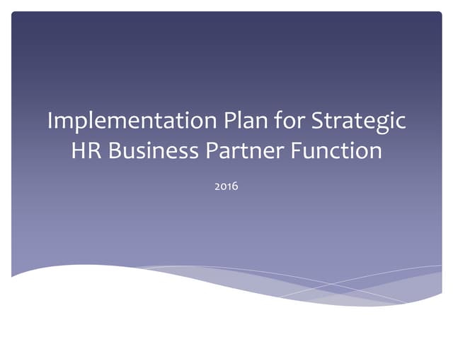 Strategic Business Partner Function