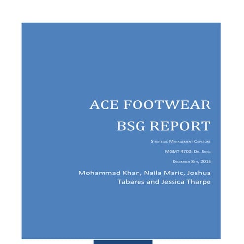Ace Footwear BSG Report