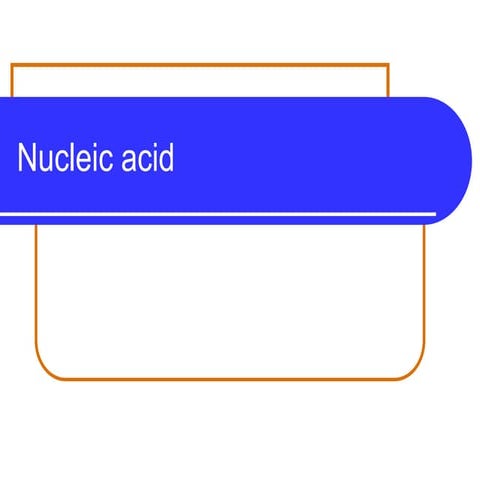 A592974226_23691_25_2019_Lecture11 onwards NUCLEIC ACIDS 2.pdf