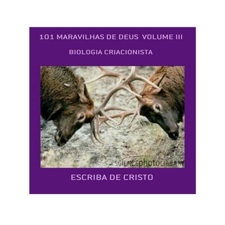 101 MARAVILHAS DE DEUS - VOLUME III