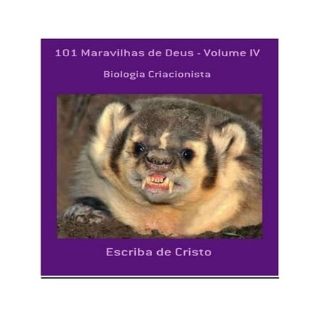 101 MARAVILHAS DE DEUS - VOLUME IV