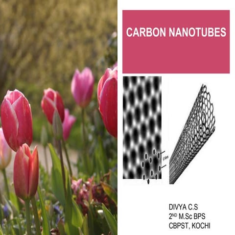 CARBON NANOTUBES