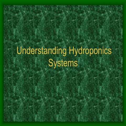 A6 1 understanding hydroponics