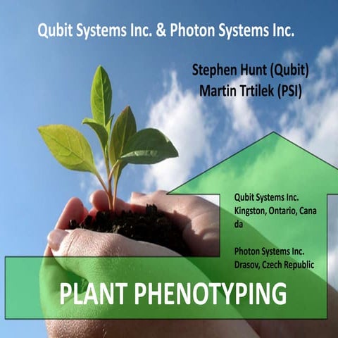 Qubit Systems Inc. & Photon Systems Inc.