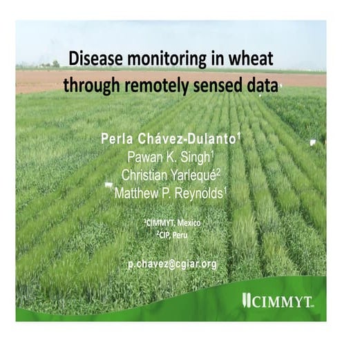 Disease monitoring in wheat through remotely sensed data