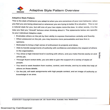 DISC Adaptive Style (1)