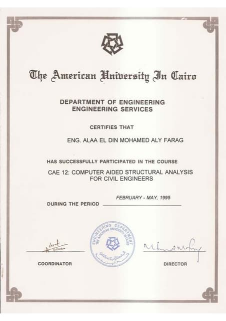 Alaa Farag CV arabic 48 | PDF