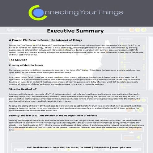 Exec Summary_CYT