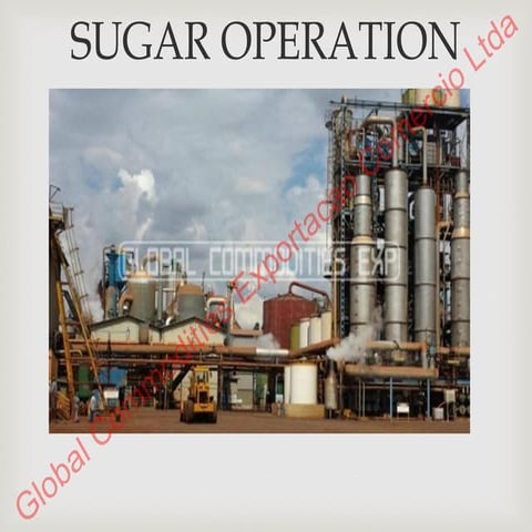 Presentation Sugar 3 | PDF