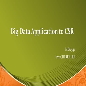 CSR Big data