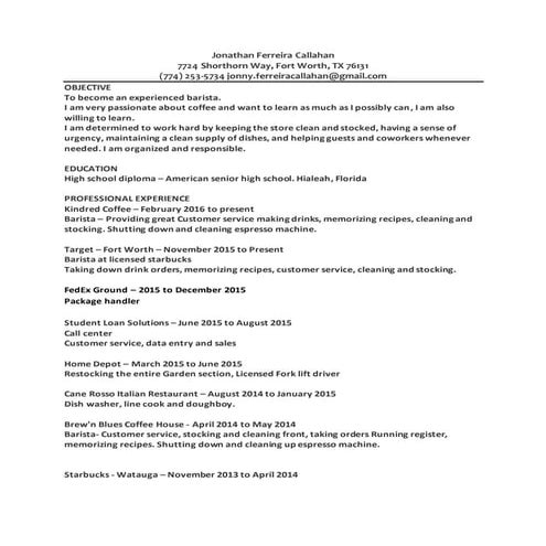 CV-Jonathan Ferreira Callahan | PDF