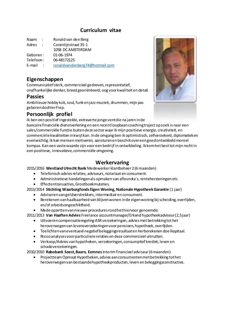 Hybrid resume samples image