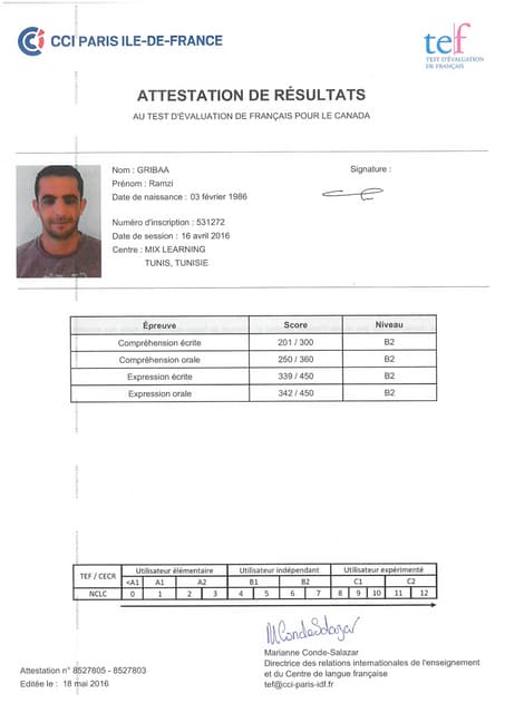 TEF Results PDF tef-results-pdf