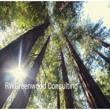 RWGreenwood Consulting Brochure